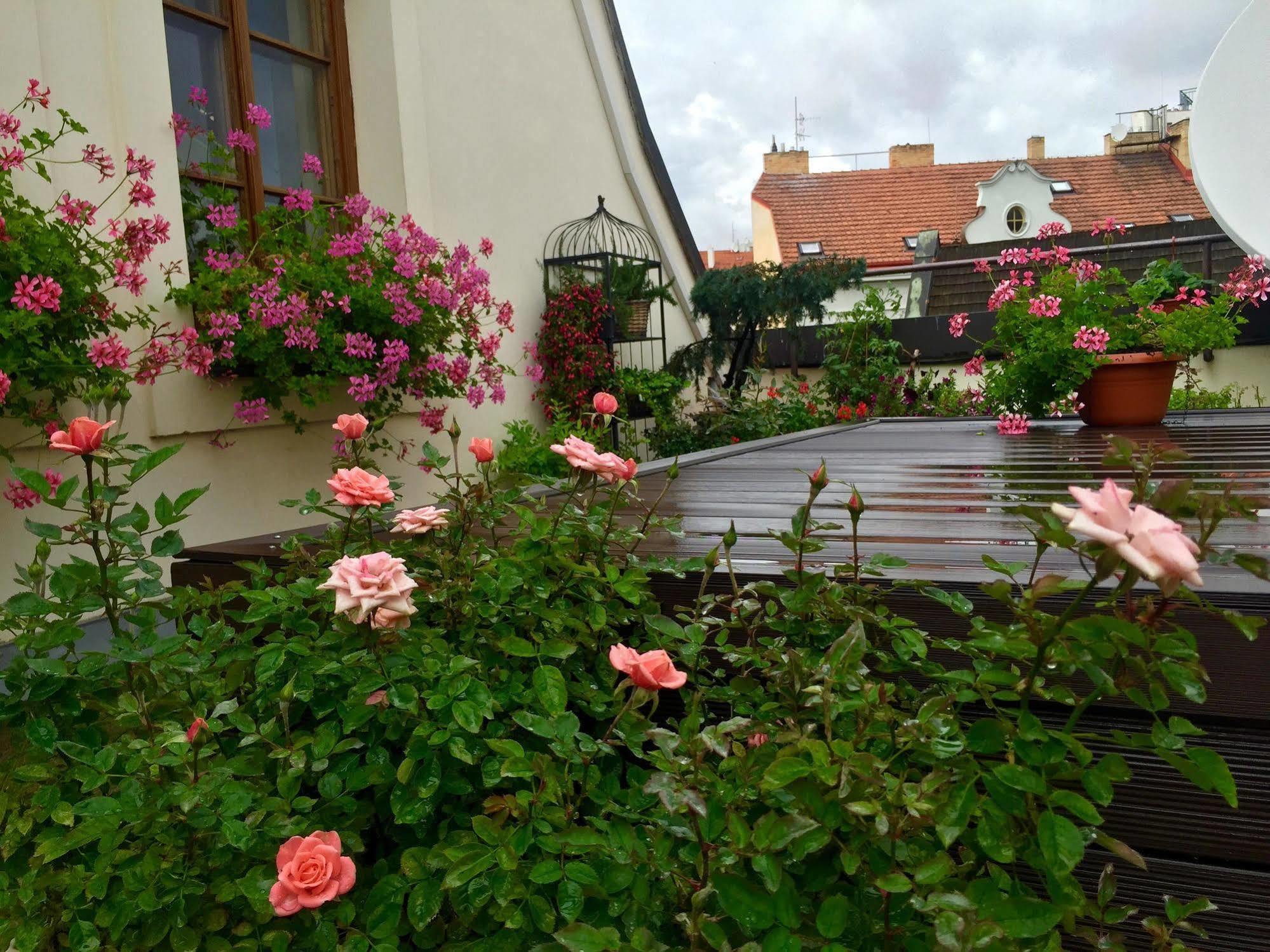 Old Town Boutique Apartments Praga Exterior foto